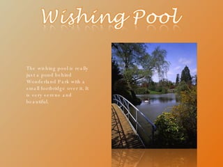 The wishing pool is really just a pond behind Wonderland Park with a small footbridge over it. It is very serene and beautiful. 