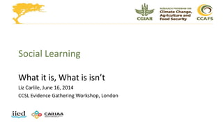 Social Learning
What it is, What is isn’t
Liz Carlile, June 16, 2014
CCSL Evidence Gathering Workshop, London
 