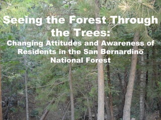 Seeing the Forest Through
        the Trees:
Changing Attitudes and Awareness of
  Residents in the San Bernardino
          National Forest
 