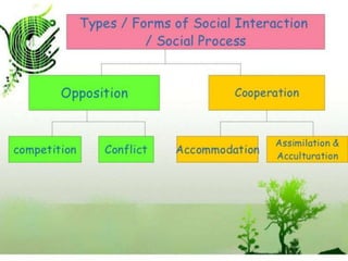 Social action and interaction