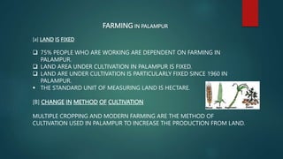 FARMING IN PALAMPUR
[a] LAND IS FIXED
 75% PEOPLE WHO ARE WORKING ARE DEPENDENT ON FARMING IN
PALAMPUR.
 LAND AREA UNDER CULTIVATION IN PALAMPUR IS FIXED.
 LAND ARE UNDER CULTIVATION IS PARTICULARLY FIXED SINCE 1960 IN
PALAMPUR.
 THE STANDARD UNIT OF MEASURING LAND IS HECTARE.
[B] CHANGE IN METHOD OF CULTIVATION
MULTIPLE CROPPING AND MODERN FARMING ARE THE METHOD OF
CULTIVATION USED IN PALAMPUR TO INCREASE THE PRODUCTION FROM LAND.
 
