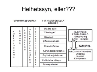 Helhetssyn, eller???
 