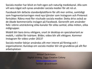 Sociala medier 2013