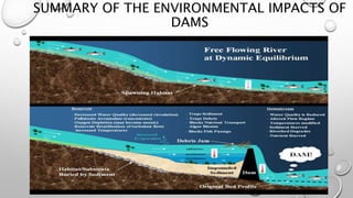 Social and environmental effect of large hydro power | PPTX