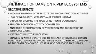 Social and environmental effect of large hydro power | PPTX