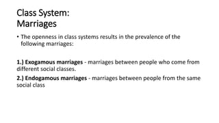 Endogamous Social and Political Stratification | PPTX