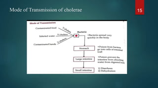 Mode of Transmission of cholerae 15
 