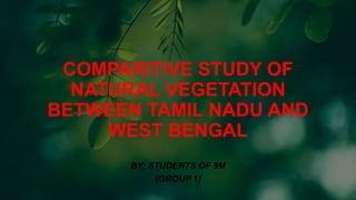 COMPARITIVE STUDY OF
NATURAL VEGETATION
BETWEEN TAMIL NADU AND
WEST BENGAL
BY: STUDENTS OF 9M
(GROUP 1)
 