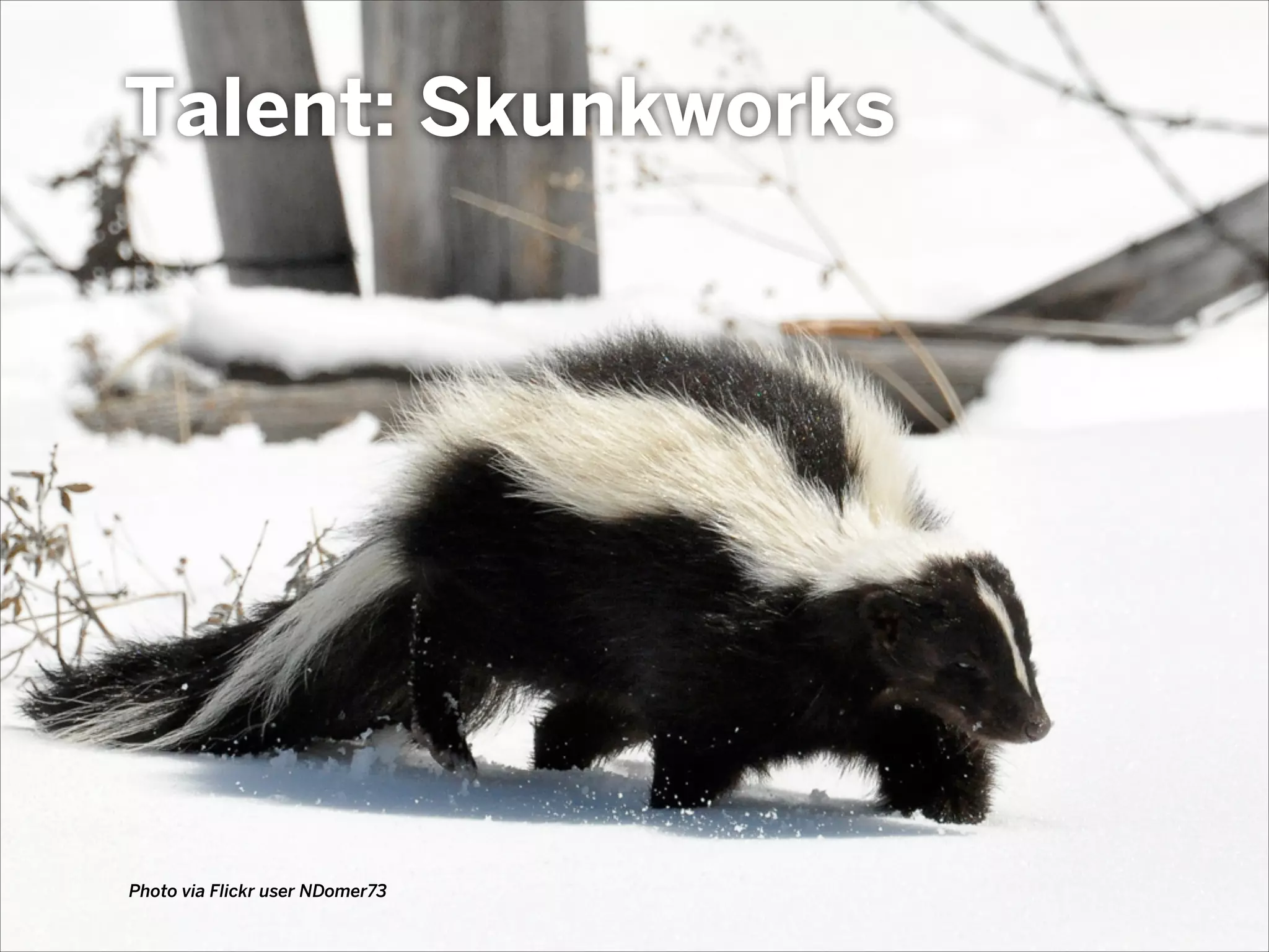 social media terror level
SEVERE
In my bunker hiding from Facebook.
LOW
We got this covered. Why are you here?
GUARDED
We use the Facebook. A little bit.
ELEVATED
A lot of bad things happen with social media, right?
HIGH
Social media? We don’t want any.
 