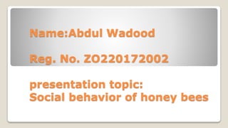 Name:Abdul Wadood
Reg. No. ZO220172002
presentation topic:
Social behavior of honey bees