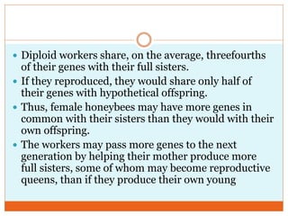  Diploid workers share, on the average, threefourths
of their genes with their full sisters.
 If they reproduced, they would share only half of
their genes with hypothetical offspring.
 Thus, female honeybees may have more genes in
common with their sisters than they would with their
own offspring.
 The workers may pass more genes to the next
generation by helping their mother produce more
full sisters, some of whom may become reproductive
queens, than if they produce their own young
 