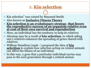 2. Kin selection
 Kin selection‖ was coined by Maynard Smith
 Also known as Inclusive Fitness Theory
 Kin selection is an evolutionary strategy that favors
the reproductive success of an organism relative even
at cost of their own survival and reproduction
 Here, an individual has the tendency to help its relatives
 Altruism may be a result of kin selection, in which aiding
one‘s relatives enhances the spreading of genes shared with
relatives.
 William Hamilton (1936– ) proposed the idea of kin
selection to explain how selection acting on related animals
can affect the ﬁtness of an individual.
 In this way, a gene that a particular individual carries may
pass to the next generation through a related animal.
 