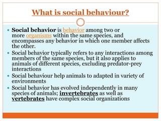 What is social behaviour?
 Social behavior is behavior among two or
more organisms within the same species, and
encompasses any behavior in which one member affects
the other.
 Social behavior typically refers to any interactions among
members of the same species, but it also applies to
animals of different species, excluding predator-prey
interactions
 Social behaviour help animals to adapted in variety of
environments
 Social behavior has evolved independently in many
species of animals; invertebrates as well as
vertebrates have complex social organizations
 