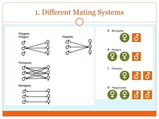 1. Different Mating Systems
 