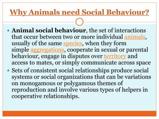Why Animals need Social Behaviour?
 Animal social behaviour, the set of interactions
that occur between two or more individual animals,
usually of the same species, when they form
simple aggregations, cooperate in sexual or parental
behaviour, engage in disputes over territory and
access to mates, or simply communicate across space
 Sets of consistent social relationships produce social
systems or social organizations that can be variations
on monogamous or polygamous themes of
reproduction and involve various types of helpers in
cooperative relationships.
 
