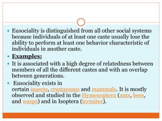  Eusociality is distinguished from all other social systems
because individuals of at least one caste usually lose the
ability to perform at least one behavior characteristic of
individuals in another caste.
 Examples:
 It is associated with a high degree of relatedness between
members of all the different castes and with an overlap
between generations.
 Eusociality exists in
certain insects, crustaceans and mammals. It is mostly
observed and studied in the Hymenoptera (ants, bees,
and wasps) and in Isoptera (termites).
 