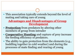  This association typically extends beyond the level of
mating and taking care of young
Advantages and Disadvantages of Group
Development
 Protection from predators by altering other
members of group from intruder
 Cooperative Hunting and capture of prey increase
the feeding efficiency of predators.
 The ability to gain protection from the elements (e.g.,
huddling together in cold weather) and during the
processes of mate ﬁnding and rearing of young
 