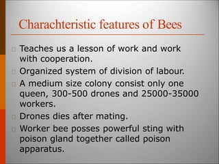 Charachteristic features of Bees
Teaches us a lesson of work and work
with cooperation.
Organized system of division of labour.
A medium size colony consist only one
queen, 300-500 drones and 25000-35000
workers.
Drones dies after mating.
Worker bee posses powerful sting with
poison gland together called poison
apparatus.
 