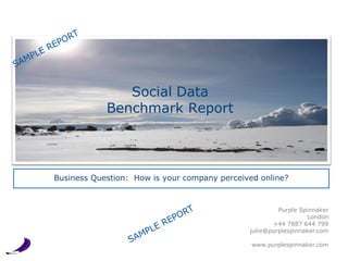 Social Data
            Benchmark Report



Business Question: How is your company perceived online?



                                                       Purple Spinnaker
                                                                London
                                                     +44 7887 644 799
                                              julie@purplespinnaker.com

                                               www.purplespinnaker.com
 