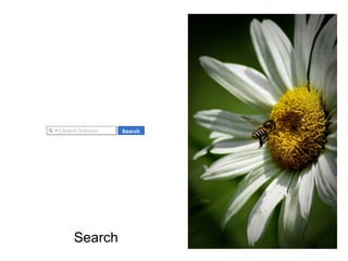 Search 