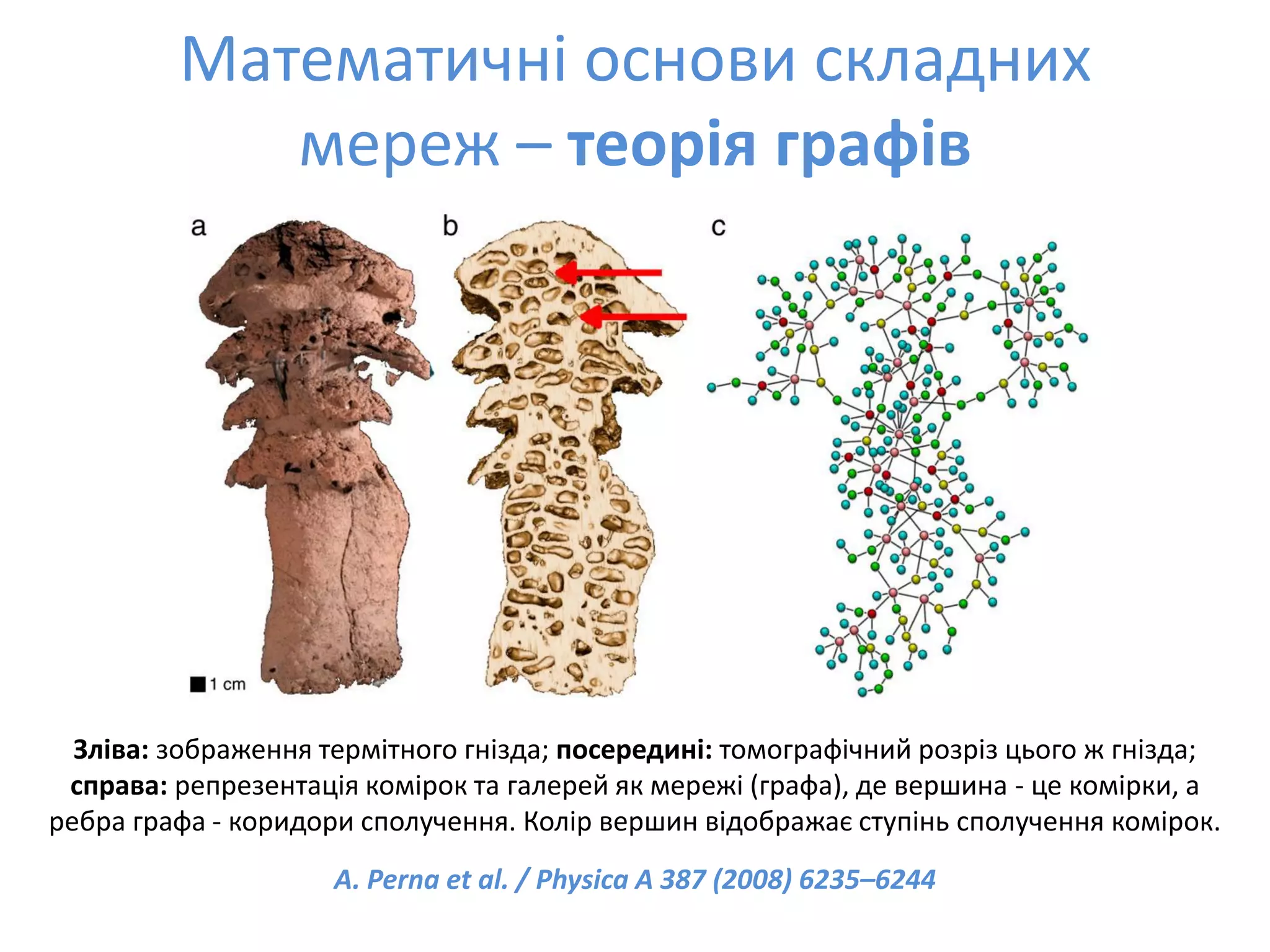Social Bookmarks, Folksonomies–Complex Networks