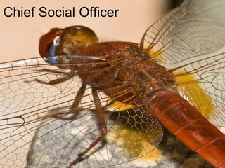 Chief Social Officer
 
