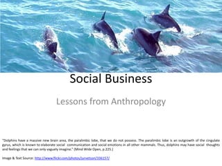 Social Business Lessons from Anthropology “Dolphins have a massive new brain area, the paralimbic lobe, that we do not possess. The paralimbiclobe is an outgrowth of the cingulategyrus, which is known to elaborate social  communication and social emotions in all other mammals. Thus, dolphins may have social  thoughts and feelings that we can only vaguely imagine.” (Mind Wide Open, p.225.) Image & Text Source: http://www.flickr.com/photos/jurvetson/336157/ 