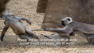 People are social animals, even at work
(some would say especially at work)
CMS Watch, Enterprise Collaboration & Community, Software Report 2009

Patrick Woiwode (CC BY 2.0)

 