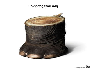 Το Δάςοσ είναι ηωι.
 