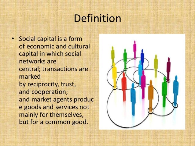 Which Of The Following Is An Example Of Social Capital Social capital