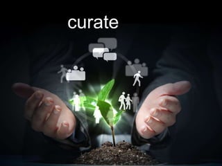 curate
 