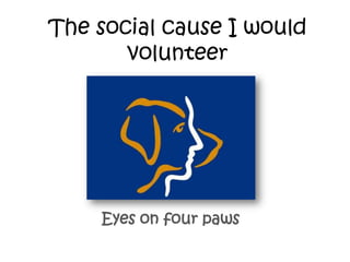 The social cause I would
volunteer

Eyes on four paws

 
