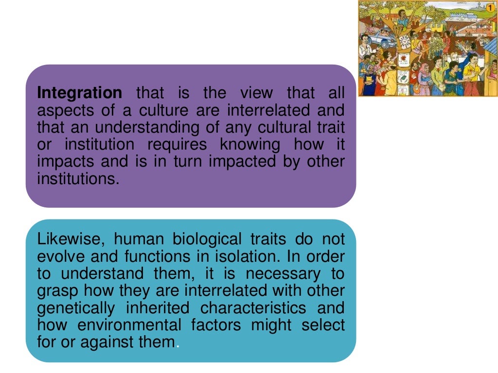 what is social change in anthropology