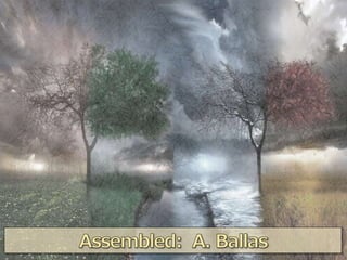 Social Change Project