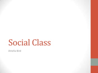 Social Class
Amelia Bird
 