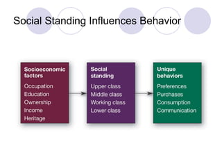Social Standing Influences Behavior 