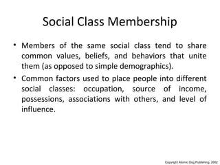 Social Class and Reference Group Influences | PPT
