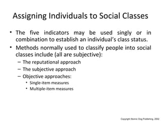 Social Class and Reference Group Influences | PPT
