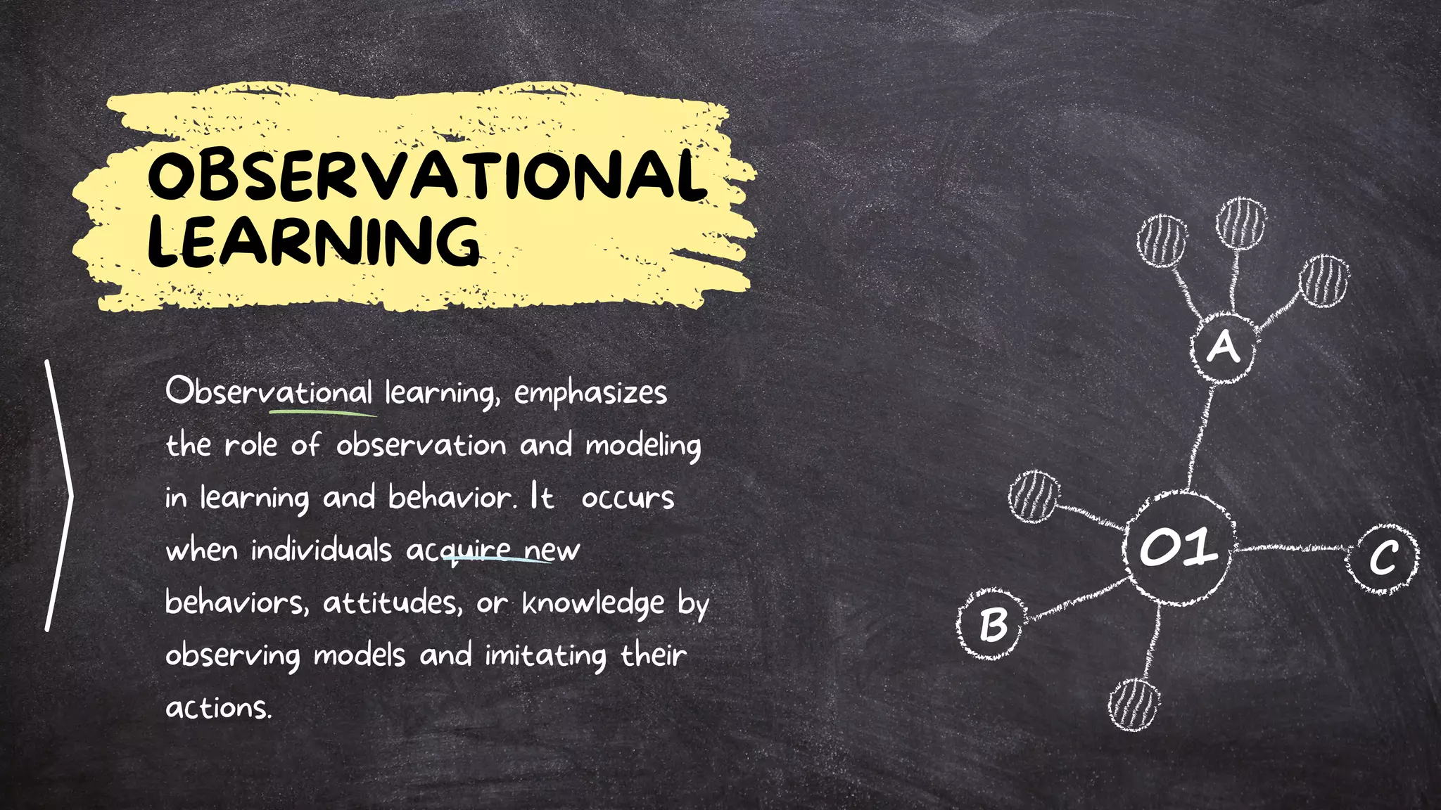 Imitating Behavior Social Cognitive Learning Albert Bandura | PDF