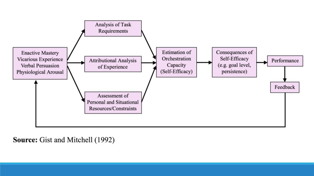 Social cognitive theory