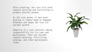 After planting, the tree will need
regular watering and fertilizing to
promote healthy growth.
As the tree grows, it may need
pruning to remove dead or damaged
branches and shape the tree for
optimal growth.
Adoption of a tree involves taking
responsibility for its care and
maintenance. This can include
regular watering, fertilizing,
pruning, and other maintenance
tasks.
 