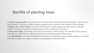 1.Carbon sequestration: Trees are known to absorb carbon dioxide from the atmosphere and store it in
their biomass. This process helps to reduce greenhouse gas emissions and mitigate climate change.
2.Biodiversity conservation: Trees provide habitats for various species of birds, insects, and other
wildlife, which are essential for maintaining a healthy and diverse ecosystem.
3.Soil conservation: Trees help to prevent soil erosion by stabilizing the soil with their roots, and they
also improve soil fertility by adding nutrients to the soil through their fallen leaves.
4.Air purification: Trees absorb pollutants from the air and produce oxygen, which improves air quality
and helps to reduce the negative impacts of air pollution on human health.
Benifits of planting trees
 