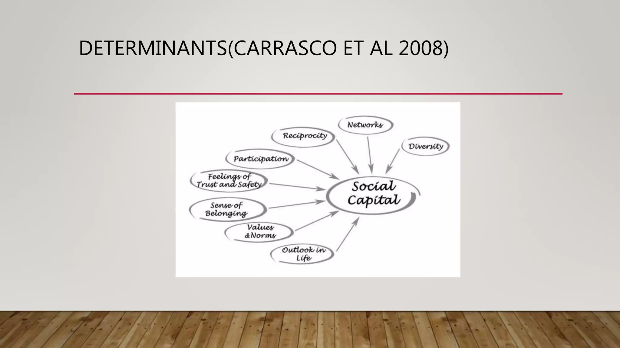 DETERMINANTS(CARRASCO ET AL 2008)
 