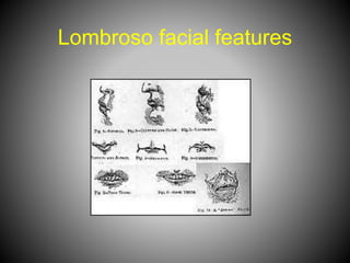 Lombroso facial features
 