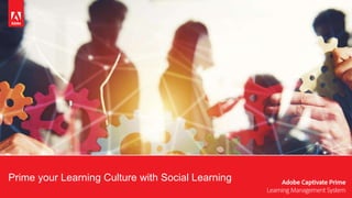 Prime your Learning Culture with Social Learning
 