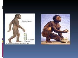 (Social) Darwin and the Theory of Evolution | PPT