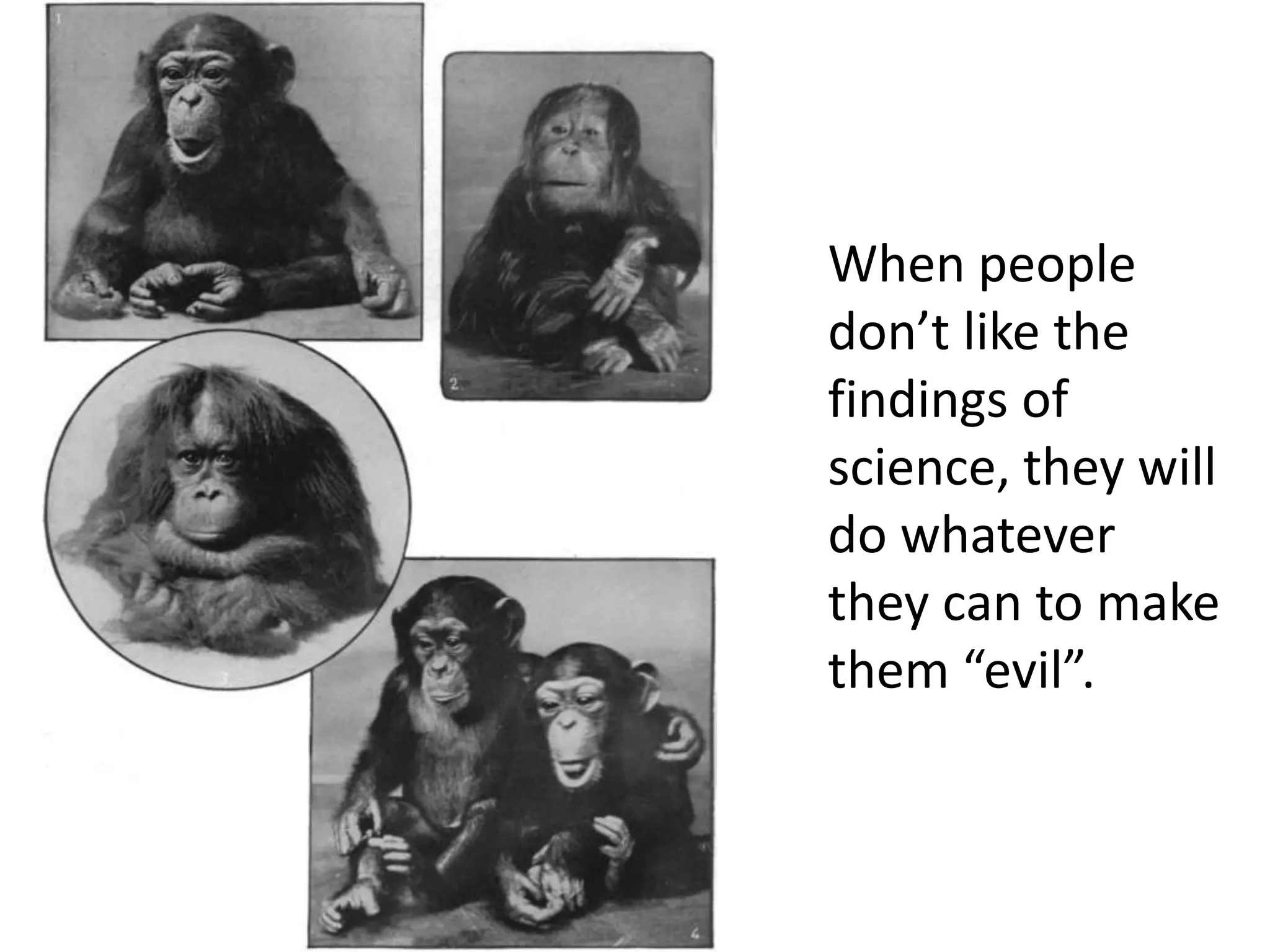 Debunked! The Biggest Sensation Misconception - unjm3zn
