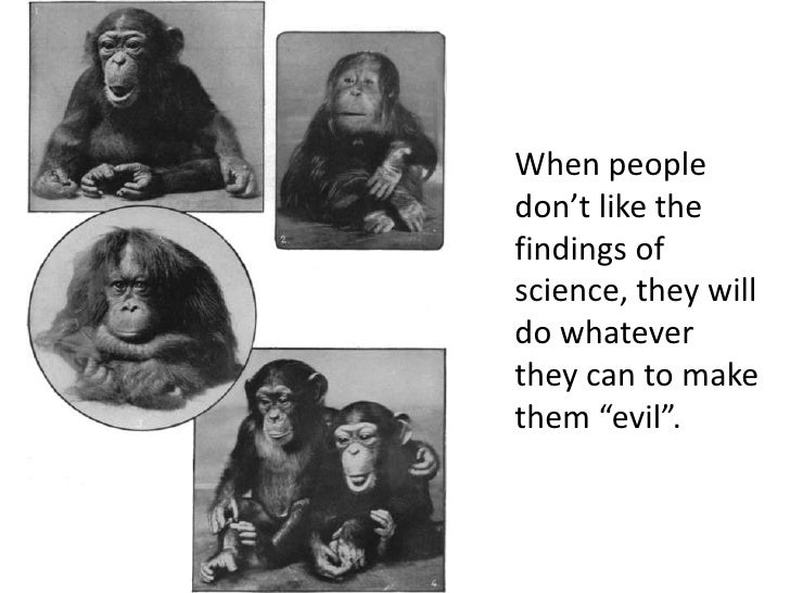 misconception about the nature of scientific Medieval europe made tons of progress, scientific and otherwise you are fishing for someone to blame religion, i’d guess but the religious suppression of study did not become common until. misconception about the nature of scientific Medieval europe made tons of progress, scientific and otherwise you are fishing for someone to blame religion, i’d guess but the religious suppression of study did not become common until.