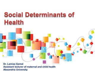 Social determinant of health | PPT