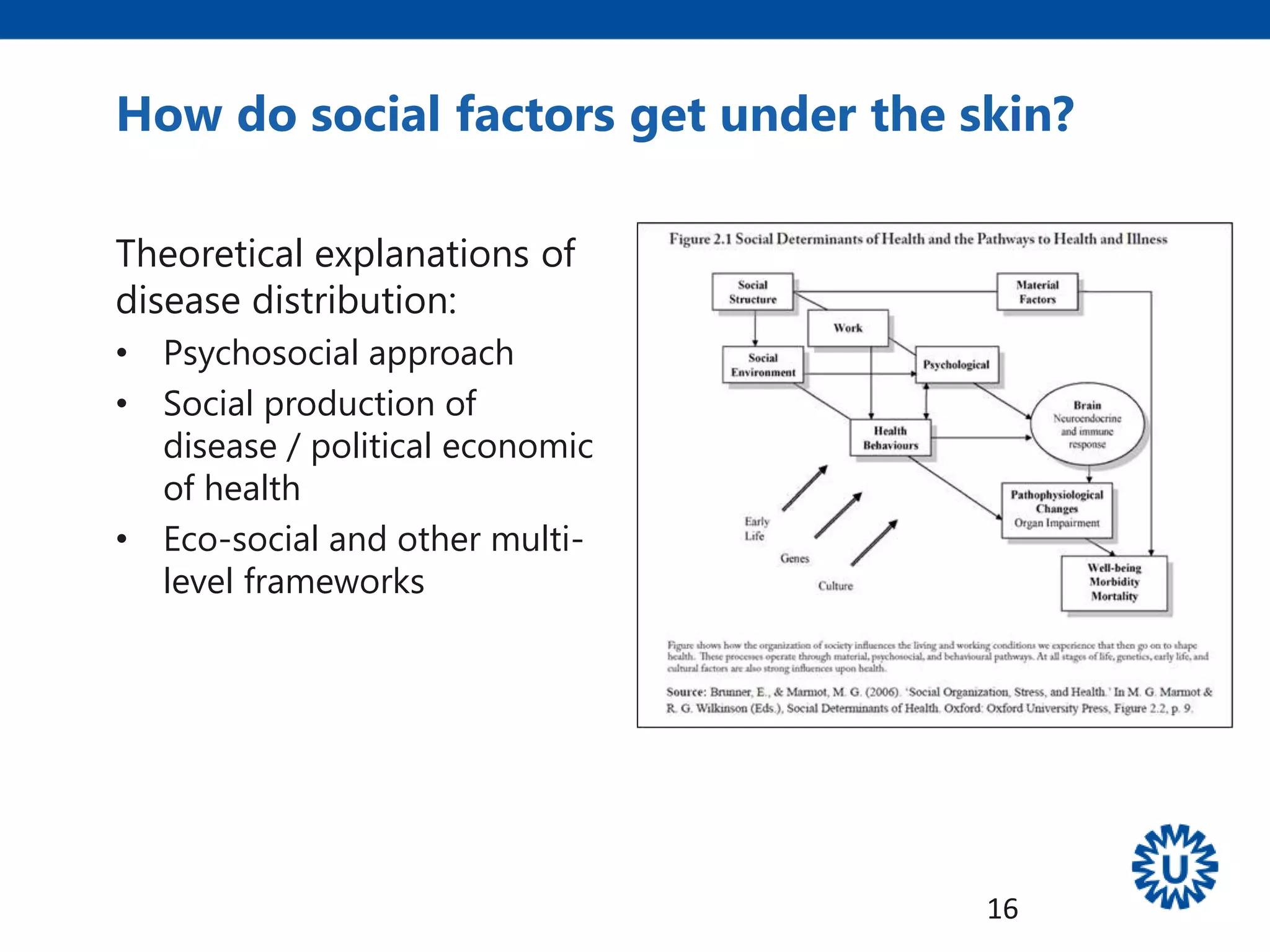 Theoretical explanations of
disease distribution:
• Psychosocial approach
• Social production of
disease / political economic
of health
• Eco-social and other multi-
level frameworks
How do social factors get under the skin?
16
 
